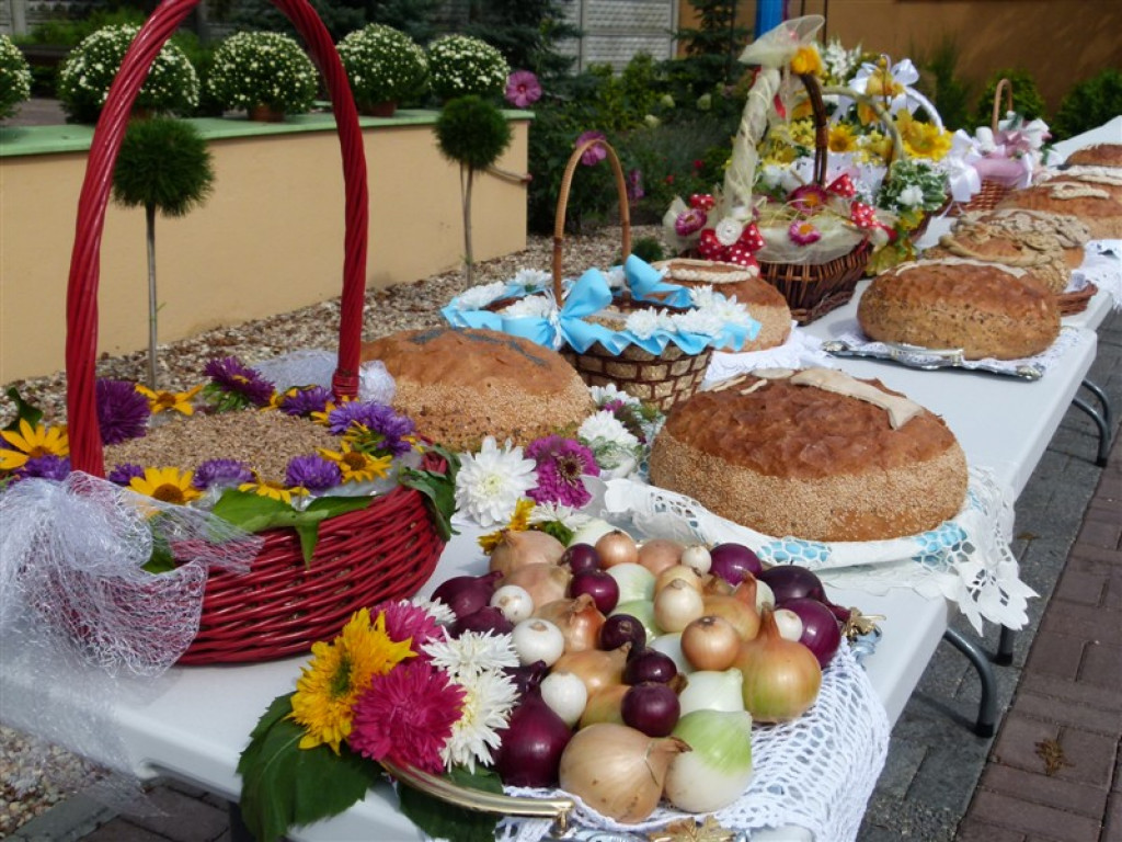Uroczystości odpustowe w Domaniewicach