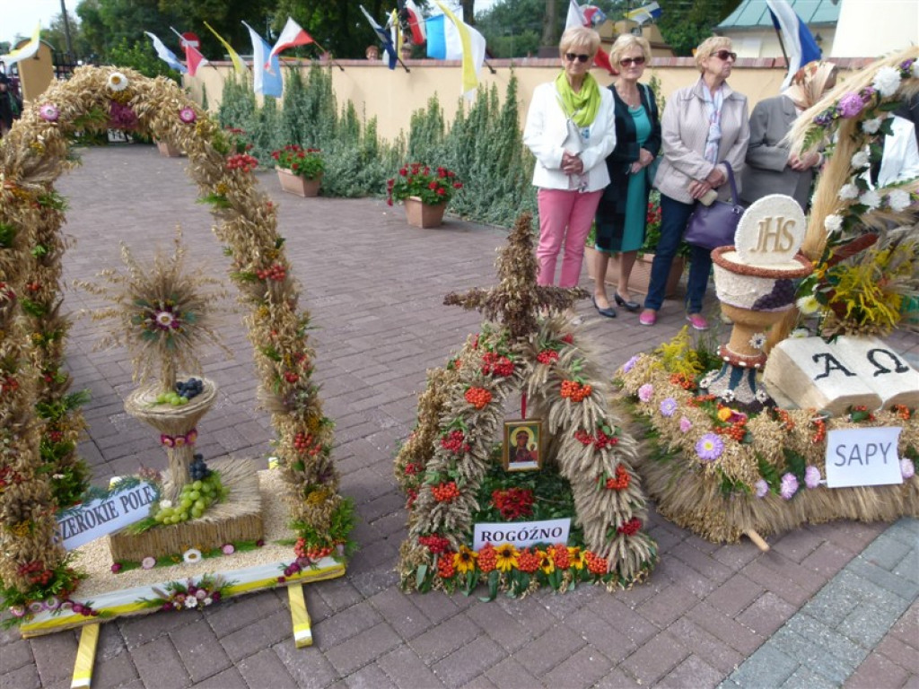 Uroczystości odpustowe w Domaniewicach
