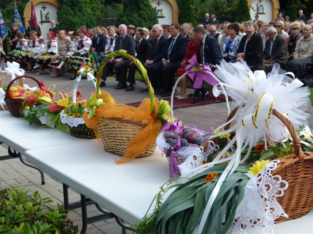 Uroczystości odpustowe w Domaniewicach