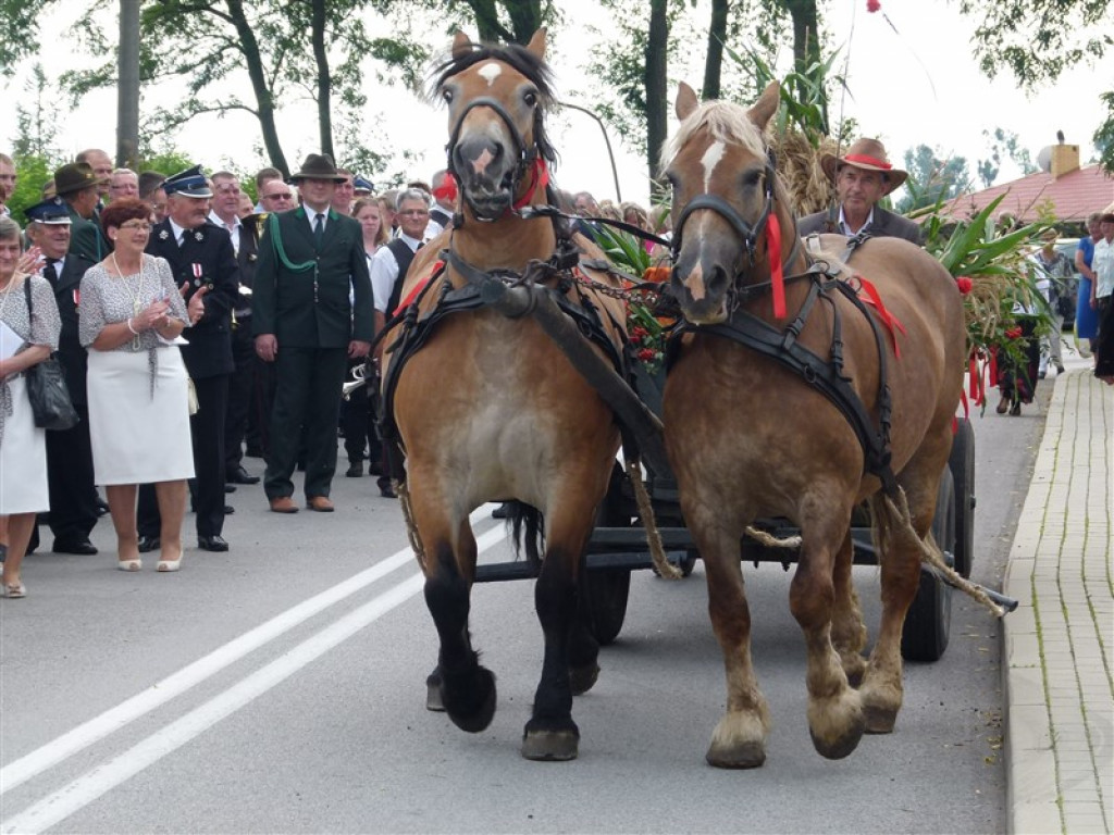 Święto Plonów w Koźlu