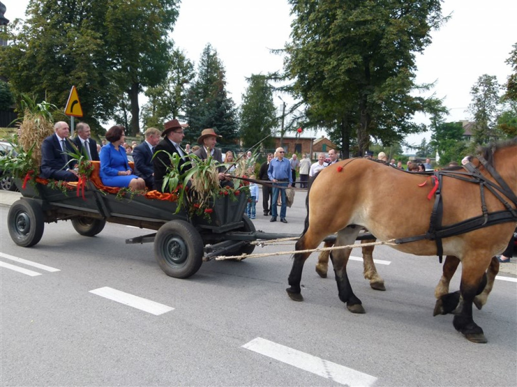 Święto Plonów w Koźlu