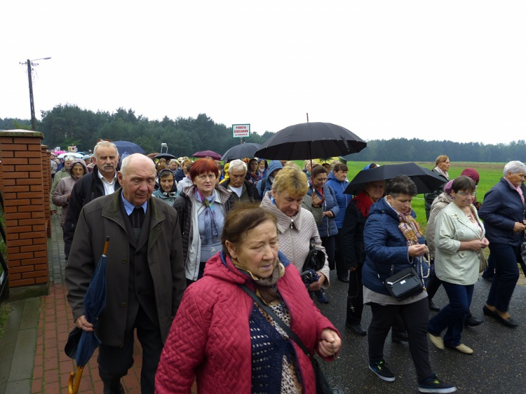 Koła Żywego Różańca spotkały się w Domaniewicach