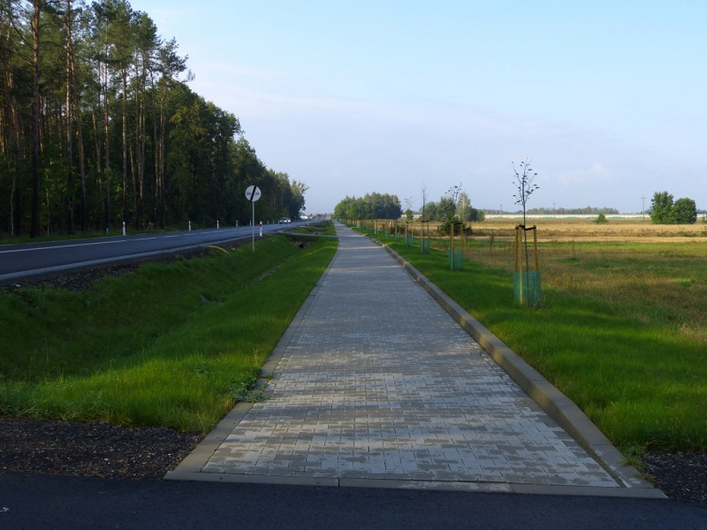 Piknik na rynku w Bolimowie