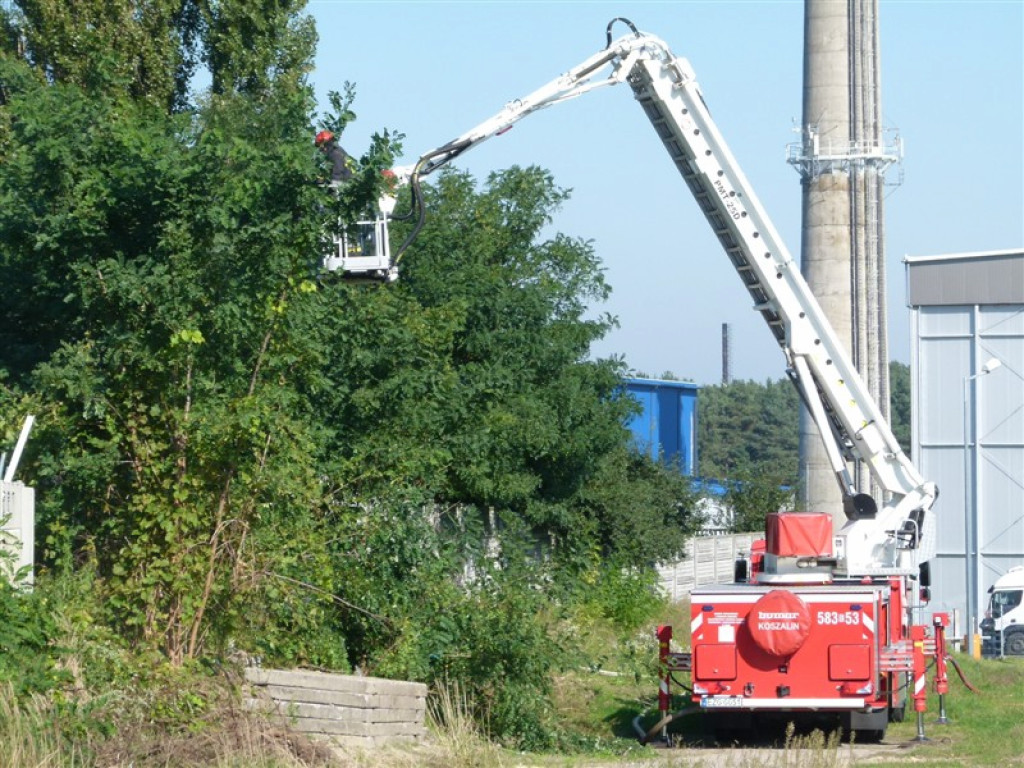 Pożar w budynku wielorodzinnym w Głownie