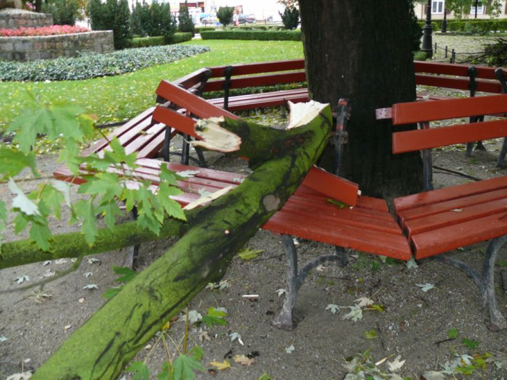 Wiele interwencji po nocnej wichurze