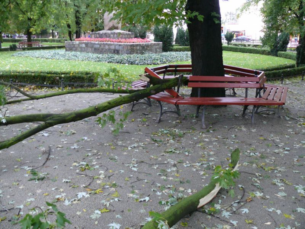 Wiele interwencji po nocnej wichurze