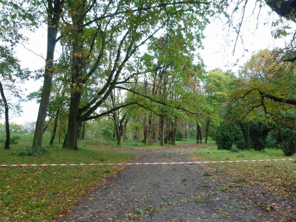 Skutki wichury w rejonie Głowna i Strykowa [galeria]