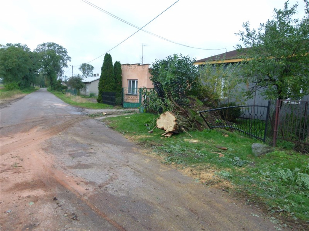 Skutki wichury w rejonie Głowna i Strykowa [galeria]
