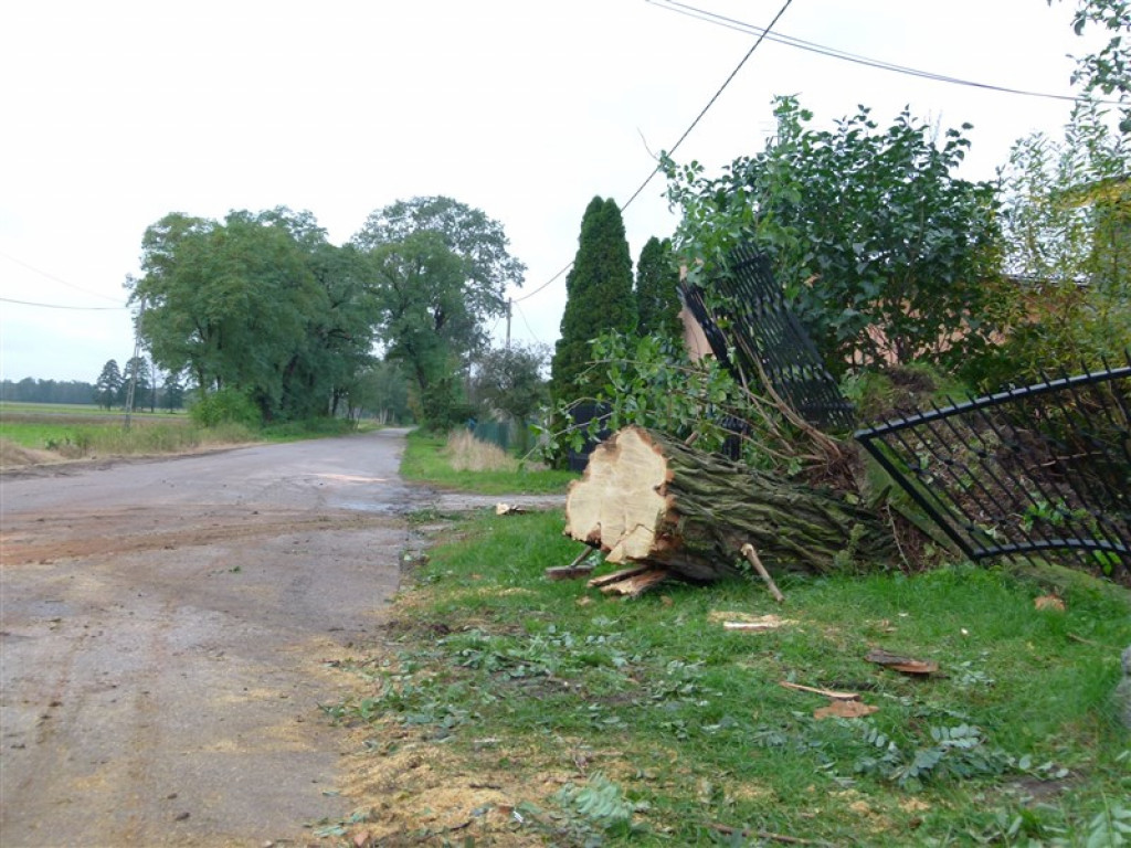 Skutki wichury w rejonie Głowna i Strykowa [galeria]