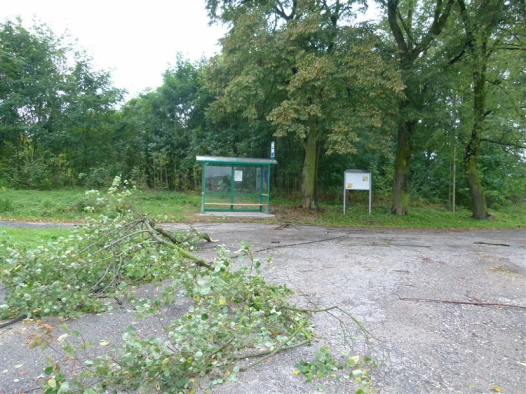 Skutki wichury w rejonie Głowna i Strykowa [galeria]