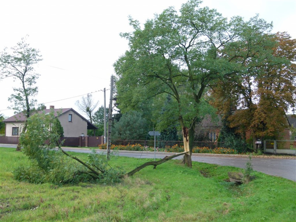 Skutki wichury w rejonie Głowna i Strykowa [galeria]