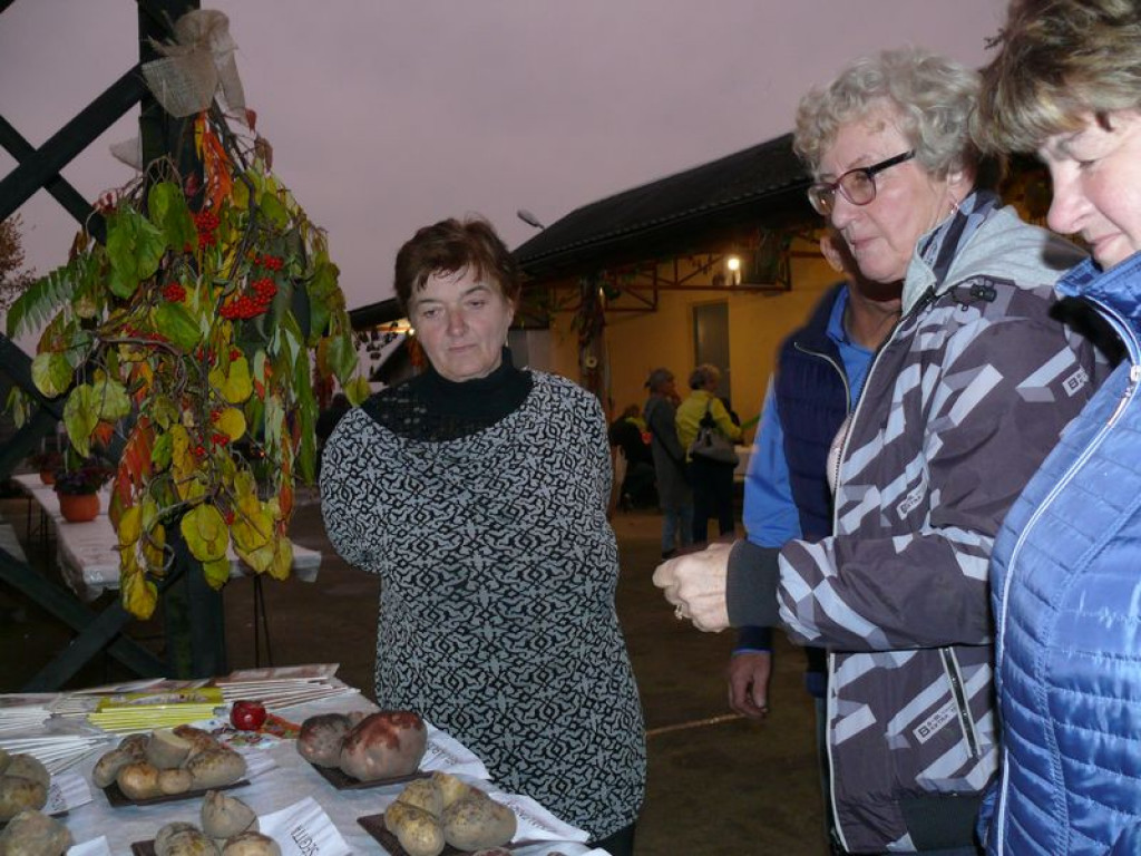 Święto Pieczonego Ziemniaka w Ostrowie