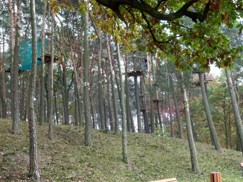 W Głownie powstaje park linowy