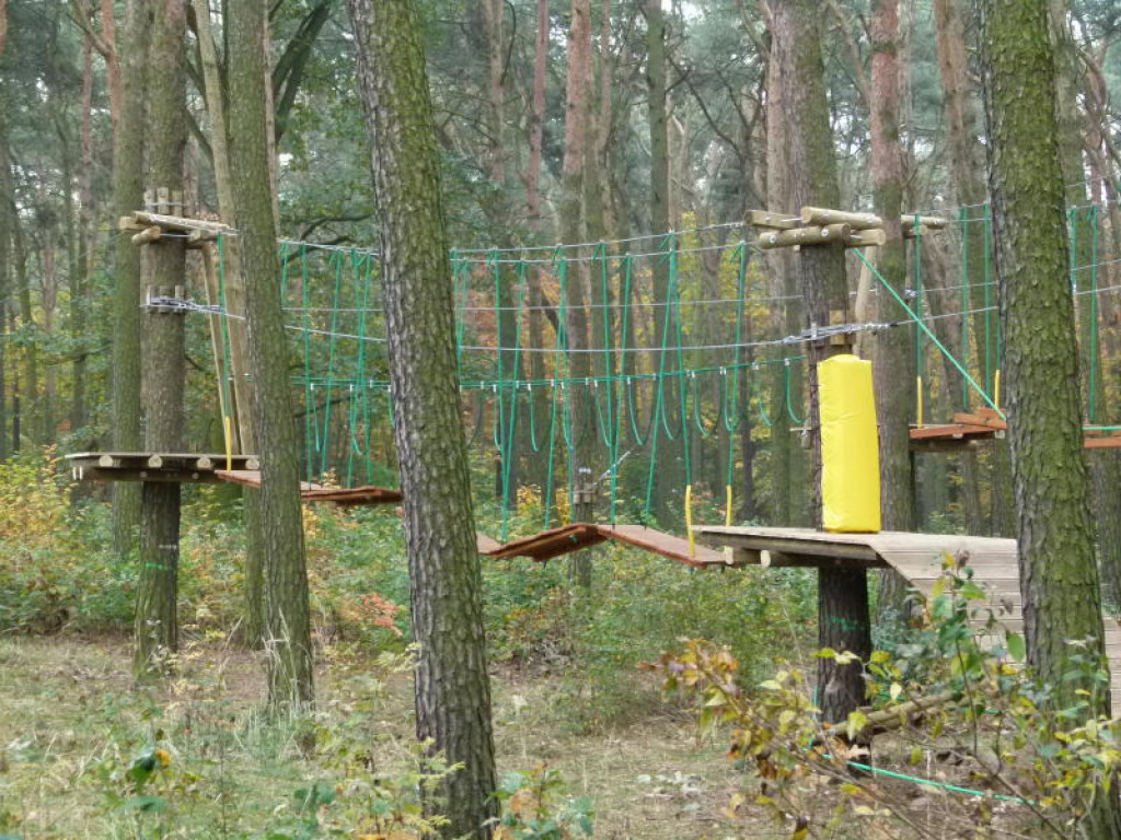 W Głownie powstaje park linowy