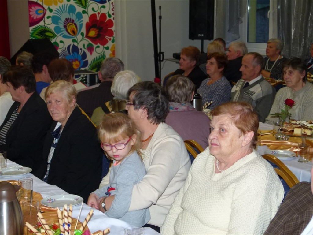 Dzień Seniora w Domaniewicach