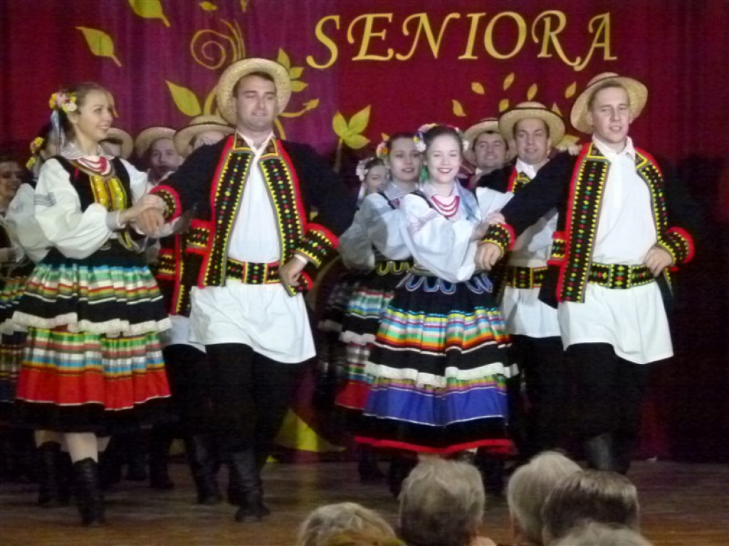 Dzień Seniora w Domaniewicach
