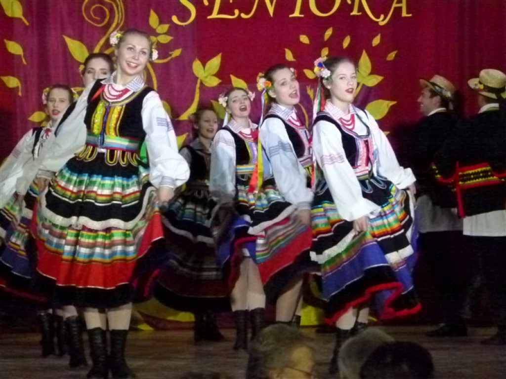 Dzień Seniora w Domaniewicach
