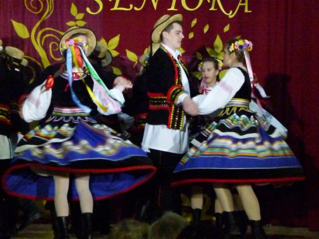 Dzień Seniora w Domaniewicach