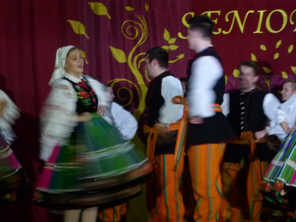 Dzień Seniora w Domaniewicach