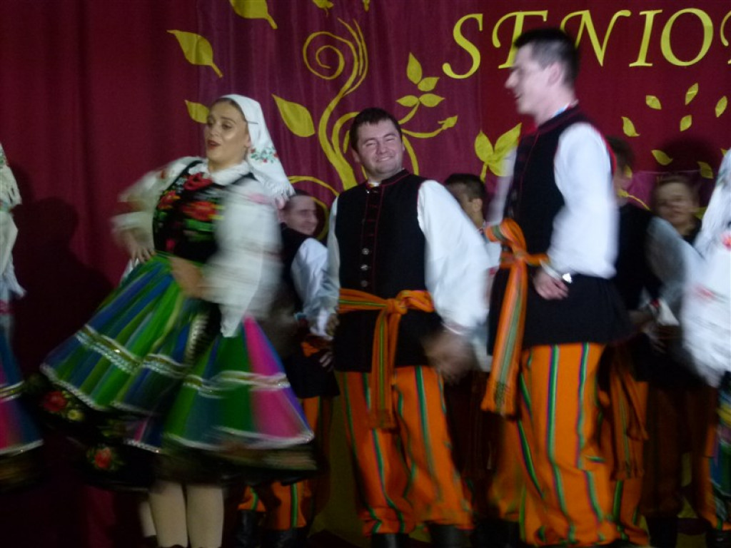 Dzień Seniora w Domaniewicach