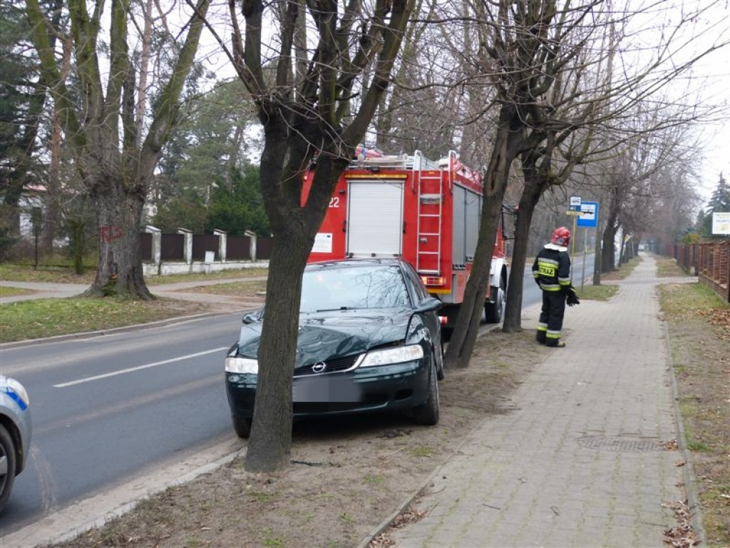 Opel Vectra uderzył w drzewo