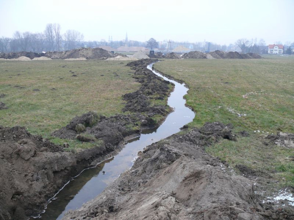 Trakt wszedł z budową ul. Dmowskiego na łąki