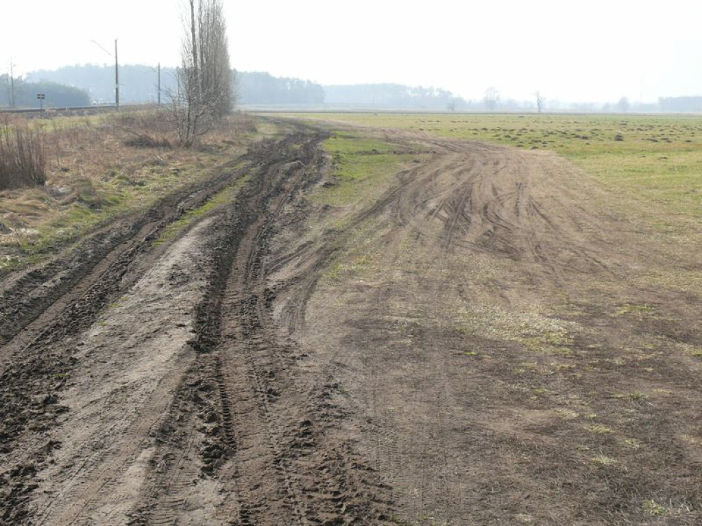 Sami chcą zrobić drogę