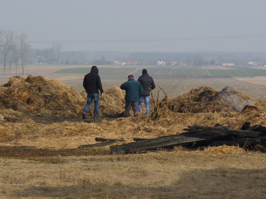 5 pożarów i jedna kolizja. Co je łączy?