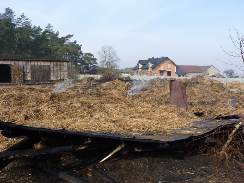 5 pożarów i jedna kolizja. Co je łączy?