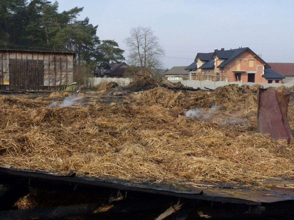 5 pożarów i jedna kolizja. Co je łączy?