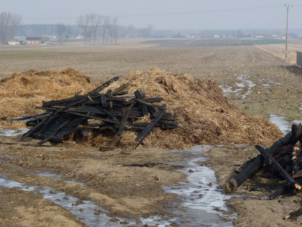 5 pożarów i jedna kolizja. Co je łączy?