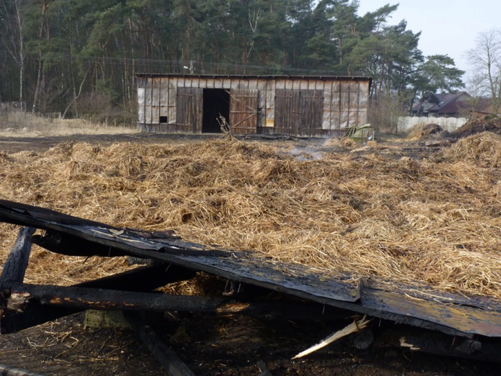 5 pożarów i jedna kolizja. Co je łączy?