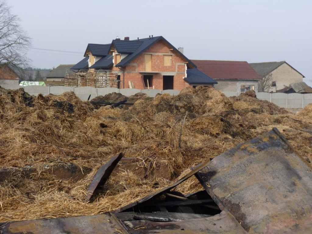 5 pożarów i jedna kolizja. Co je łączy?