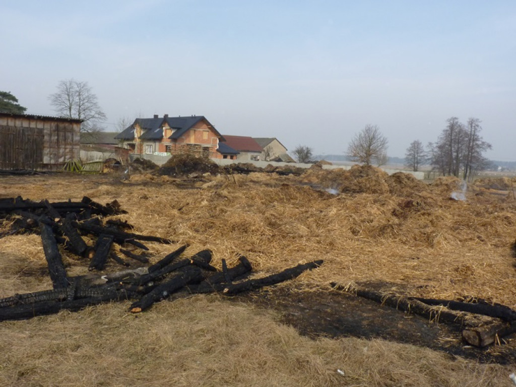 5 pożarów i jedna kolizja. Co je łączy?