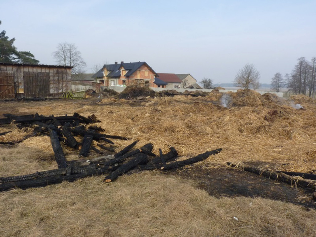 5 pożarów i jedna kolizja. Co je łączy?