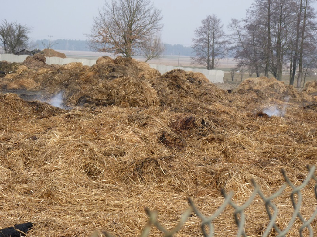 5 pożarów i jedna kolizja. Co je łączy?