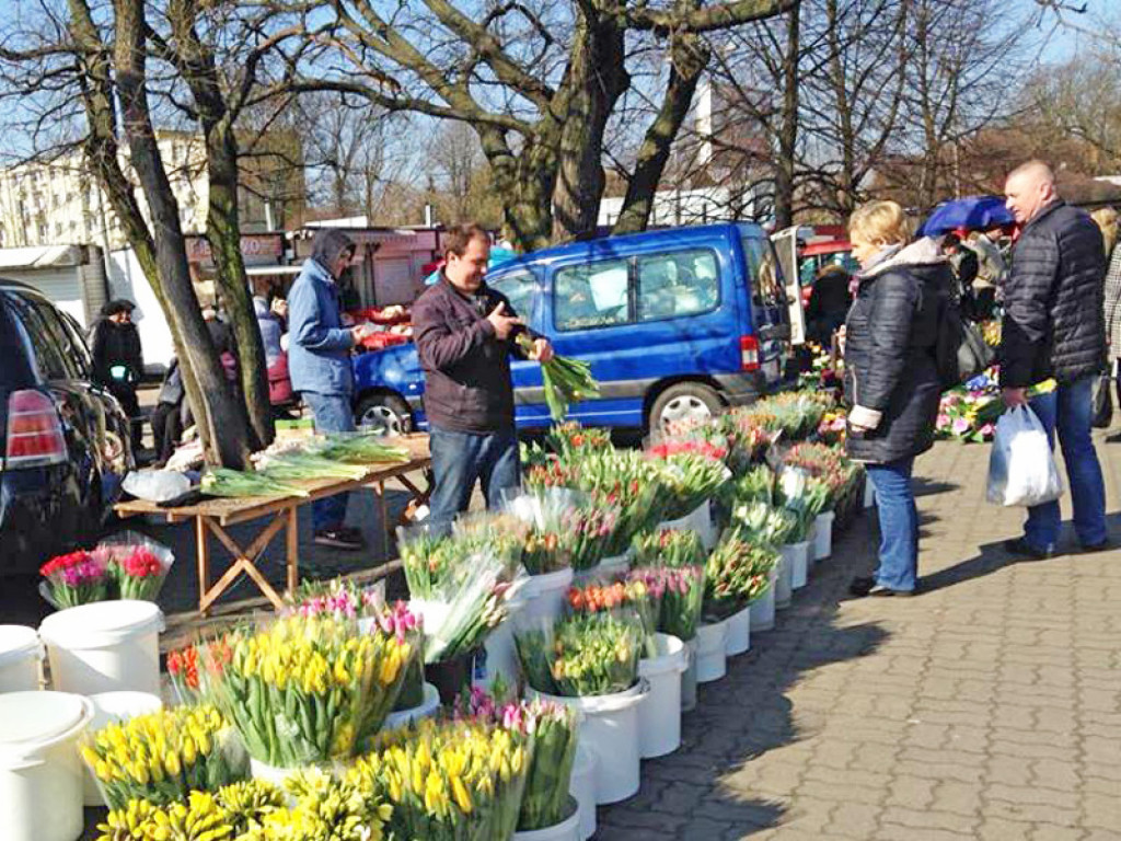 Na targu ostatnie przedświąteczne zakupy