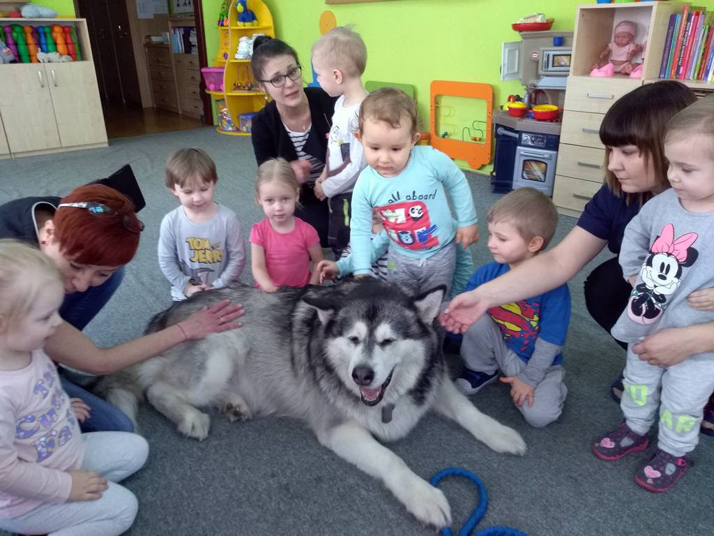 Czworonogi z wizytą w łowickim żłobku