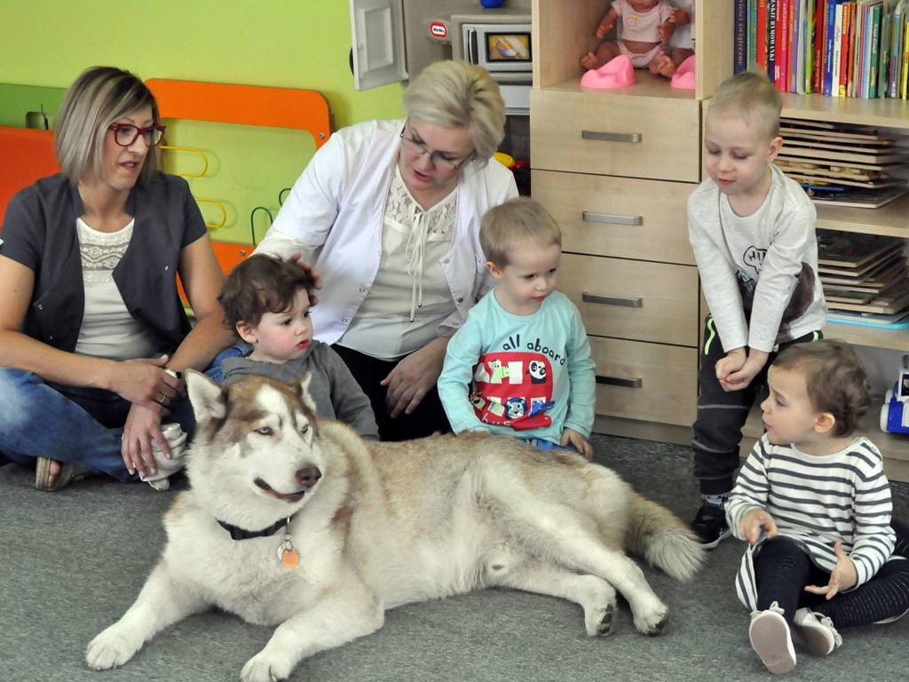 Czworonogi z wizytą w łowickim żłobku