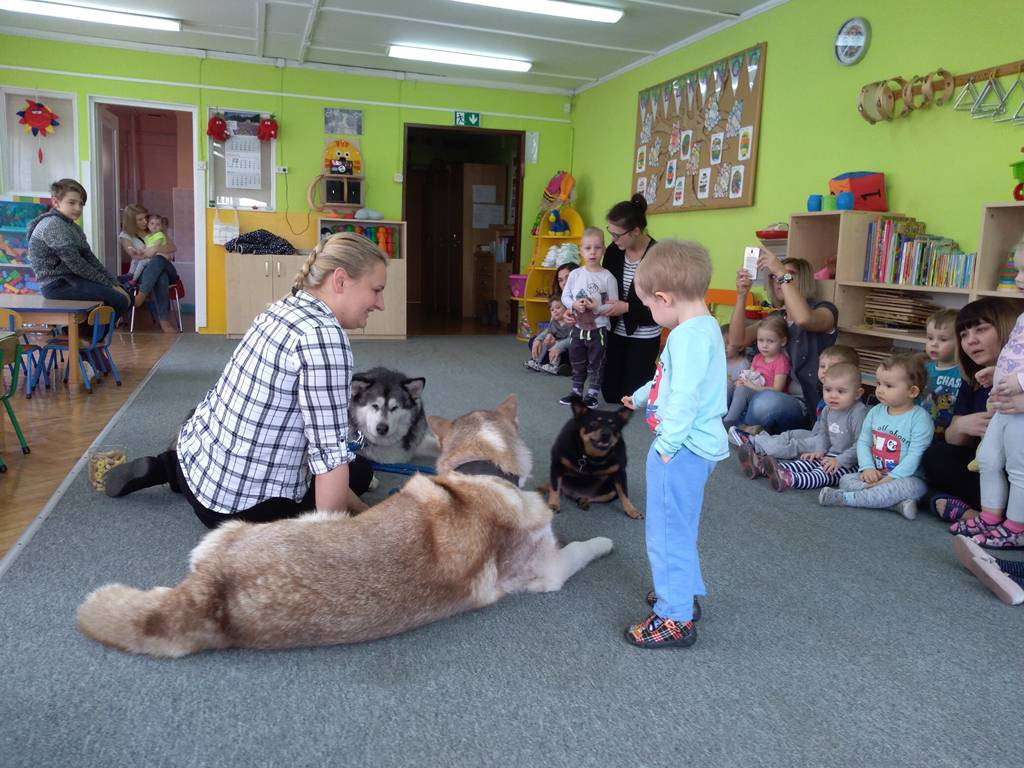 Czworonogi z wizytą w łowickim żłobku
