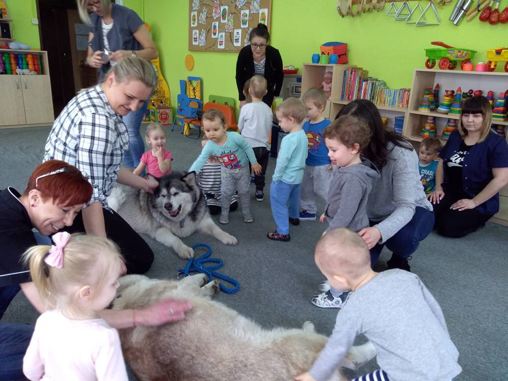 Czworonogi z wizytą w łowickim żłobku