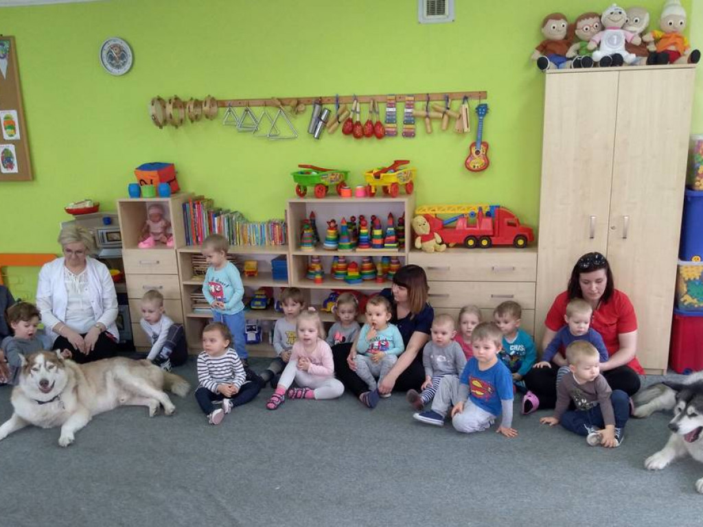 Czworonogi z wizytą w łowickim żłobku