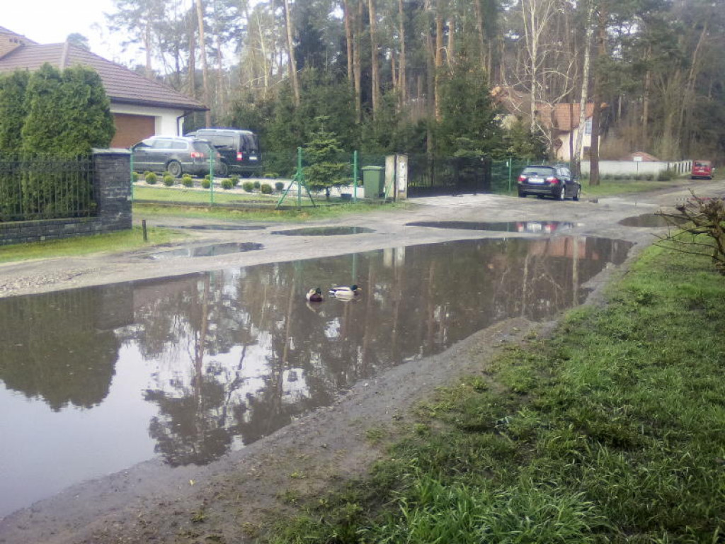 Głowno: po kałużach na ul. 18 Stycznia pływają kaczki