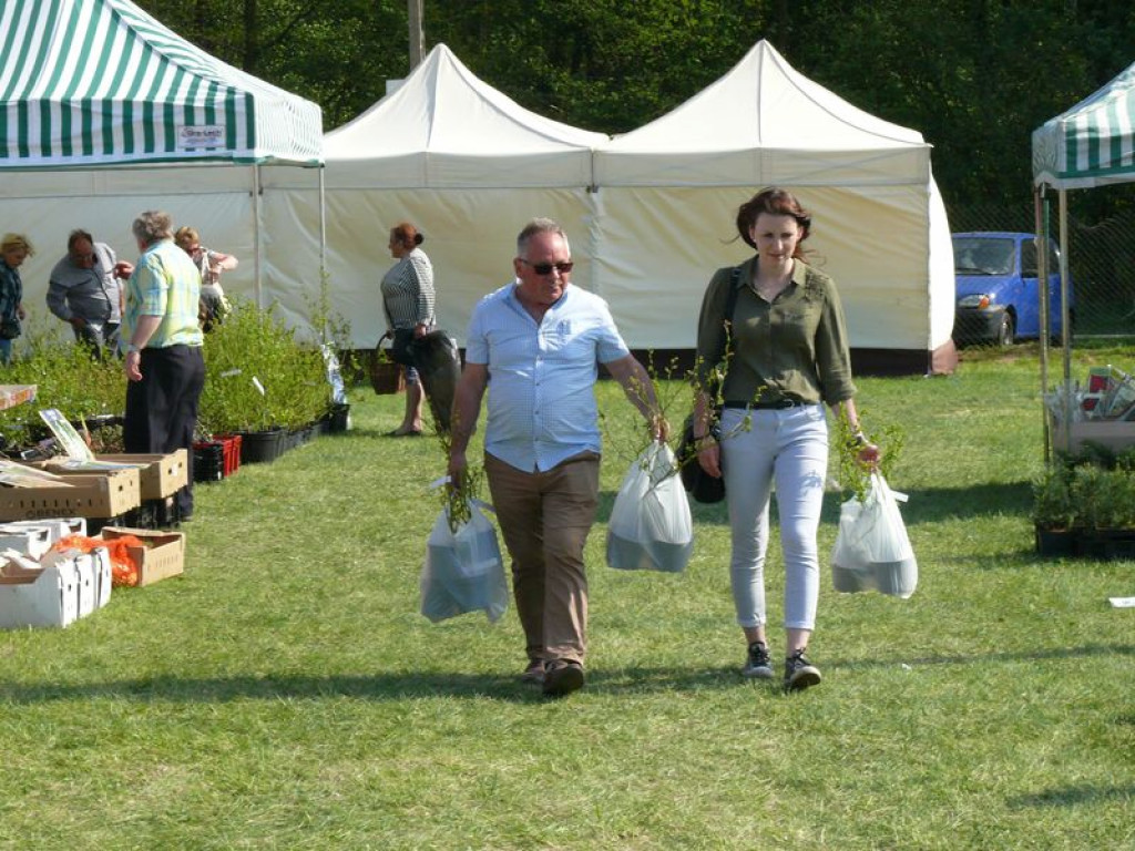 Agrotechnika także w niedzielę