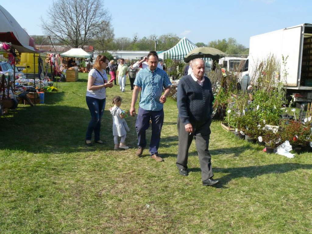 Agrotechnika także w niedzielę