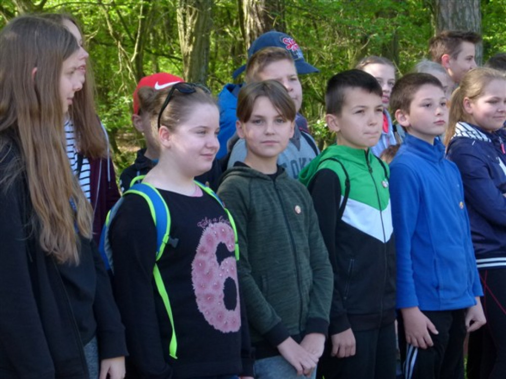 Lasek Miejski odetchnął od śmieci