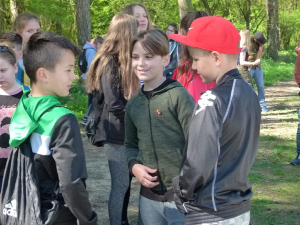 Lasek Miejski odetchnął od śmieci