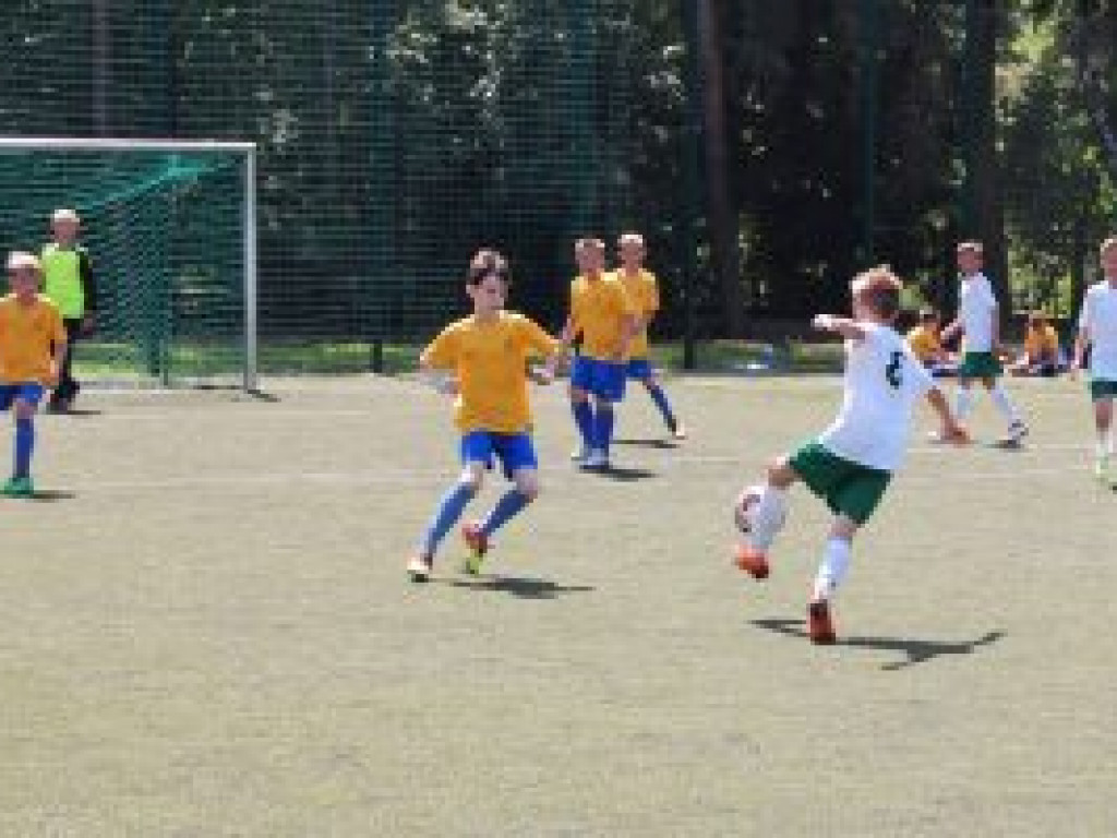 Łowickie Ptaki pokonały łowickiego Championa