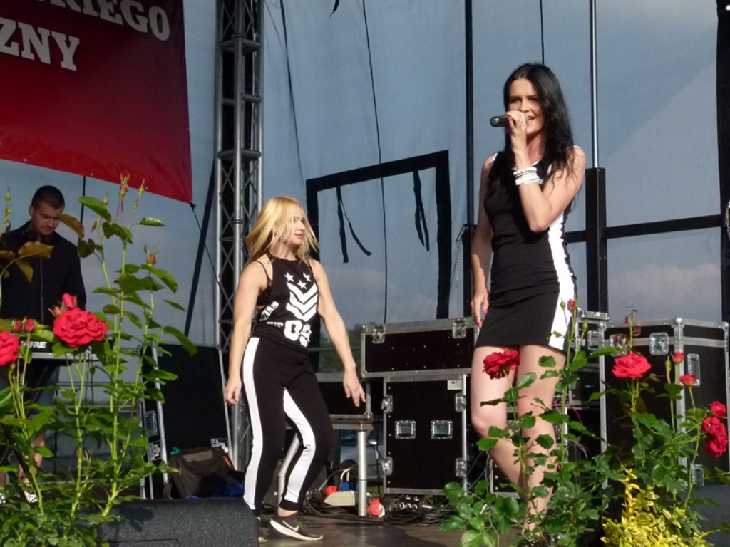 Święto Powiatu Brzezińskiego - tym razem w gminie Dmosin