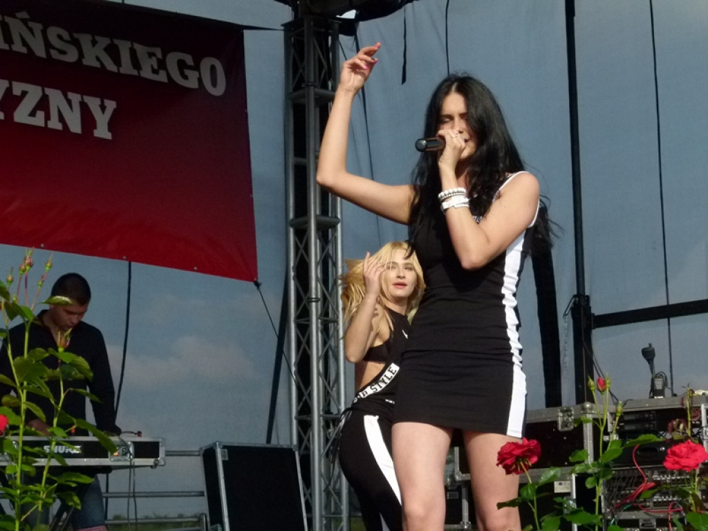 Święto Powiatu Brzezińskiego - tym razem w gminie Dmosin